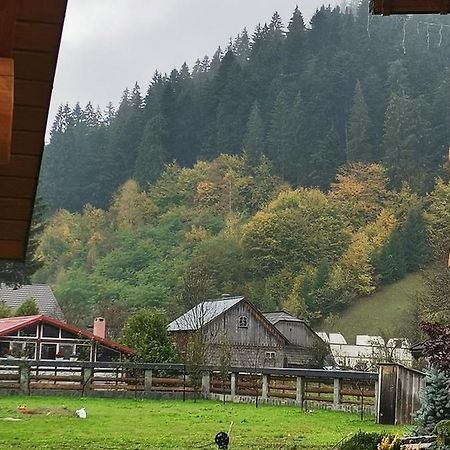 Casa De Poveste Sucevita Exteriör bild