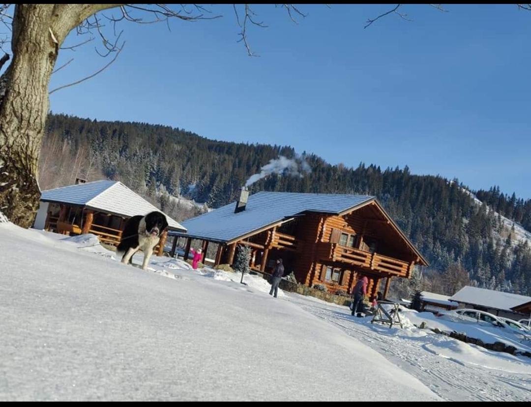 Casa De Poveste Sucevita Exteriör bild